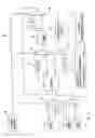 Fig. 09 - Decoding device, decoding method, and receiving apparatus