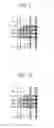 Fig. 06 - Semiconductor integrated circuit and design method thereof