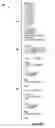 Fig. 03 - Method and program product for protecting information in EDA tool design views