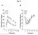 Fig. 04 - Type 2 diabetic non-human mammals and methods of use
