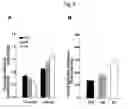 Fig. 09 - Type 2 diabetic non-human mammals and methods of use