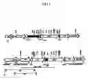 Fig. 02 - Plastid genetic engineering via somatic embryogenesis