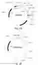 Fig. 02 - Method for producing a transgenic plant with the aid of 