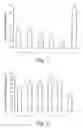 Fig. 04 - Method for producing a transgenic plant with the aid of 