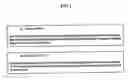 Fig. 02 - Expression of the human igf-1 in transgenic plastids
