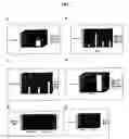 Fig. 08 - Expression of the human igf-1 in transgenic plastids