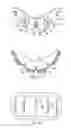 Fig. 06 - Impact attenuating chin protector