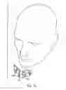 Fig. 07 - Impact attenuating chin protector