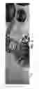 Fig. 04 - Process to apply digital images in straps