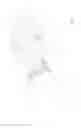 Fig. 04 - Electric Toothbrush