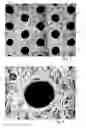 Fig. 02 - Perforation device