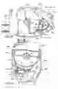 Fig. 08 - Tape rule having reoriented measuring blade