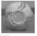 Fig. 01 - Autograph ball