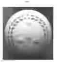 Fig. 02 - Autograph ball