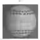 Fig. 06 - Autograph ball