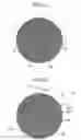 Fig. 03 - Honeycomb structure