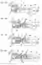 Fig. 10 - Data storage device
