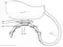 Fig. 01 - Guitar cord anchor