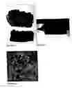 Fig. 10 - High temperature cements