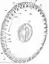 Fig. 01 - Flat type seed meter disk with protruded pick up orifices