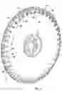 Fig. 04 - Flat type seed meter disk with protruded pick up orifices