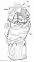 Fig. 01 - Owl with spring connected head and wind activated fin