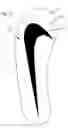 Fig. 08 - Visual wear indicator for footwear