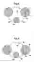 Fig. 04 - Method and mould for casting articles with a pre-determined crystalline orientation
