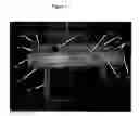 Fig. 02 - Wallpaper pasting machine