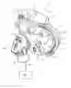 Fig. 01 - Full face respiratory mask with integrated nasal interface