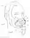 Fig. 30 - Full face respiratory mask with integrated nasal interface