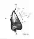 Fig. 31 - Full face respiratory mask with integrated nasal interface