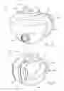 Fig. 34 - Full face respiratory mask with integrated nasal interface