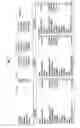 Fig. 07 - MINIMALLY LIGHT REFLECTIVE SURGICAL DRAPE