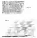 Fig. 07 - Method for making plywood and dimensional lumber from L. or bamboo