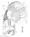 Fig. 07 - Bi-directional tooling head and method for tire cord application