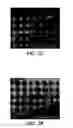 Fig. 06 - Vertically spaced plural microsprings