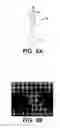 Fig. 13 - Vertically spaced plural microsprings