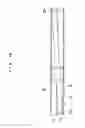 Fig. 09 - Bill handling device and control system thereof