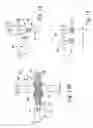 Fig. 16 - Method and apparatus for transporting and processing a plurality of articles