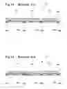 Fig. 16 - Key sheet