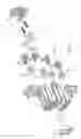 Fig. 11 - Multi-functional, flush-fitting electrical mechanism