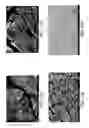 Fig. 19 - Deposition of LiCoO