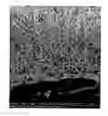 Fig. 01 - Nanoweb composite material and gelling method for preparing same