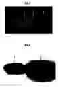 Fig. 03 - Process for producing plastic foam composite