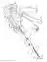 Fig. 02 - Rotary hydraulic pump actuated multi-stroke surgical instrument