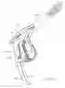 Fig. 17 - Hand held pressure washer