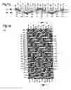 Fig. 02 - Wire cloth, in particular paper making wire cloth