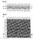 Fig. 08 - Wire cloth, in particular paper making wire cloth