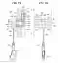 Fig. 07 - Article hanging system, slidable wire holder, detachable wire holder, wire hook and wire gripper